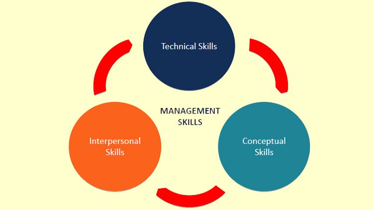 basic types of management skills